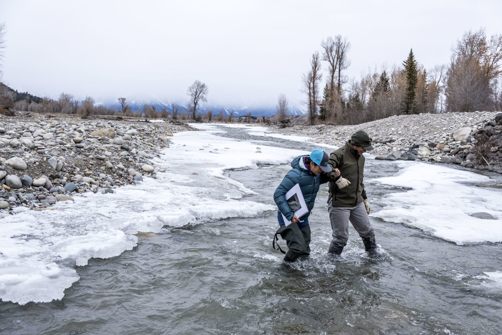 Spread Creek project